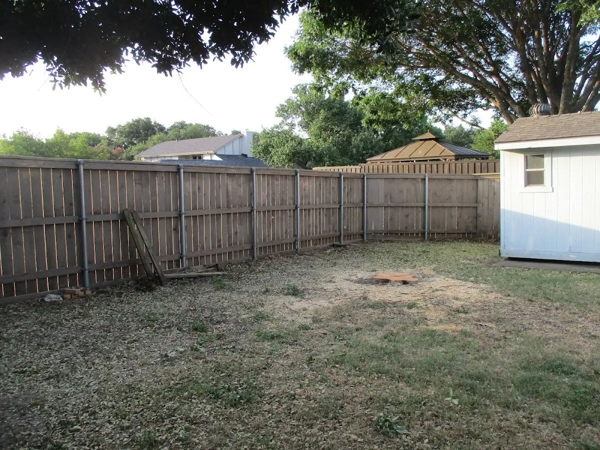 Cleared yard after professional tree removal in Adams Run